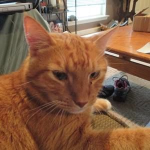 Meet your Posher, Debby